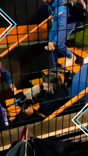 "وقع من على السلم".. موقف محرج لجاتوزو أمام الكاميرات